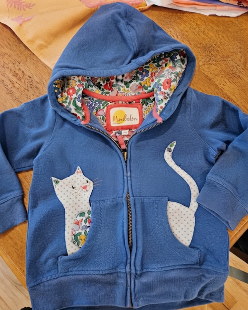 Cat Pocket Hoodie