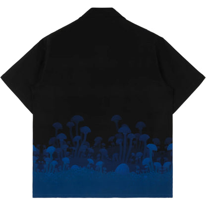Terraria Collection